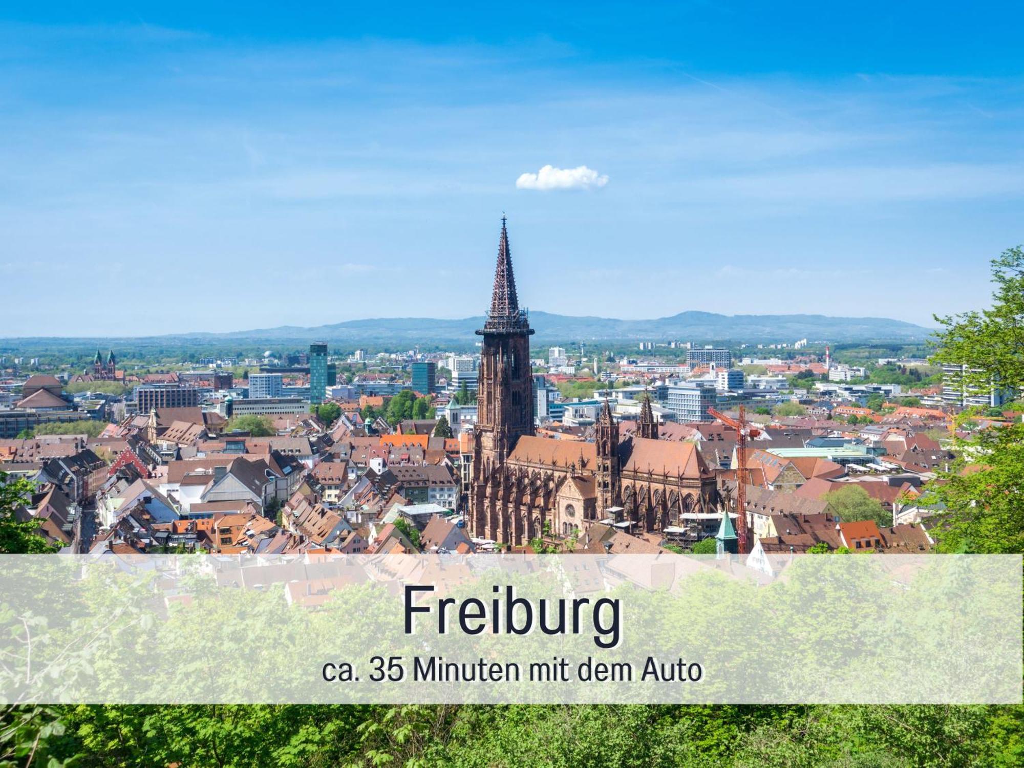 Herzgruen Direkt An Traumhaften Wanderwegen Balkon Mit Toller Aussicht Sauna Im Haus Tiefgarage E-Ladestation Todtnauberg Exterior photo